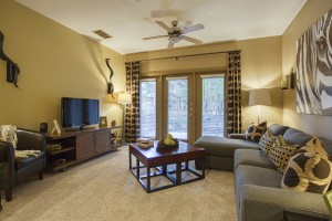 2 Bedroom Apartments For Rent in San Antonio, TX - Model Living Room (3) 